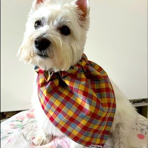 Designer Bandana’s. Set of 2 Perfect for your Dog!